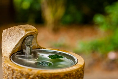 clean water fountain