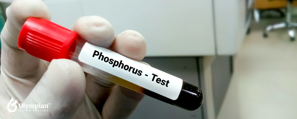 How to Choose the Right Phosphorus Testing Kit for Your Needs ...