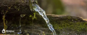 Spring Water Minerals Essential Elements for Optimal Health​